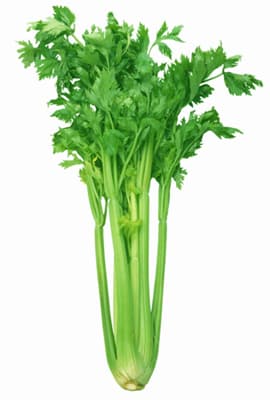 Celery