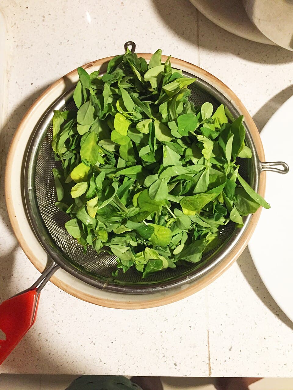 Fenugreek (Methi)