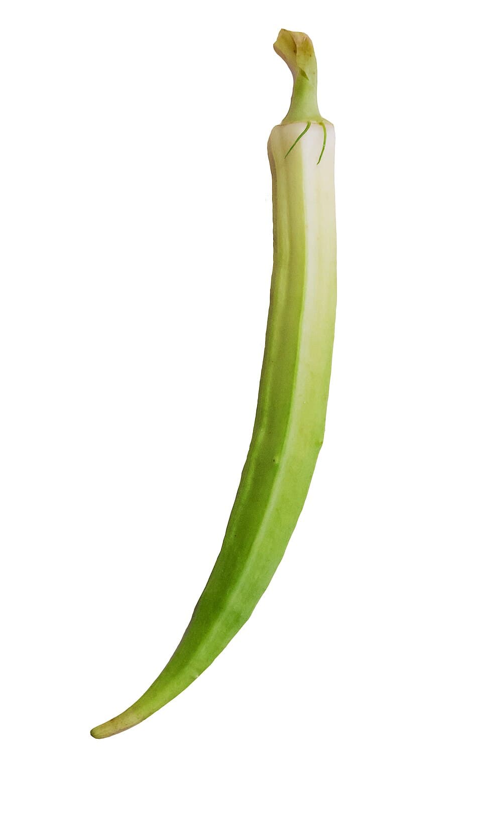 Lady Finger (Bhindi)