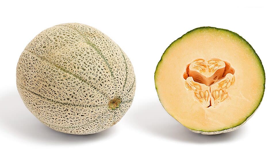 Muskmelon (Kharbooja)