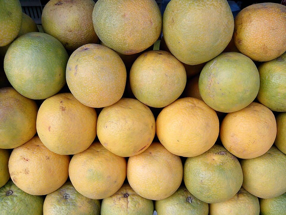Sweet Lime (Mosambi)