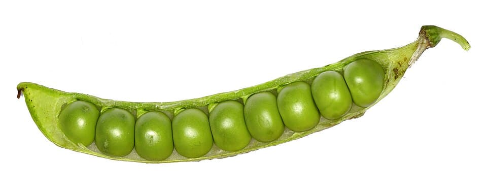 Green Peas (Matar)
